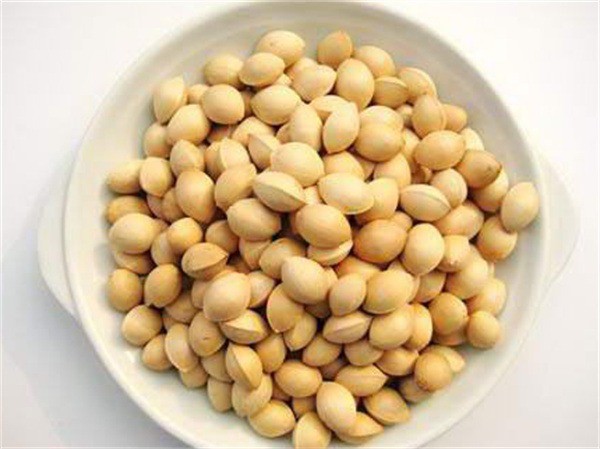 红墙御配食补养生